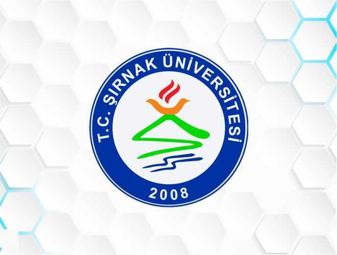 Şırnak Üniversitesi